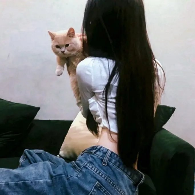弗拉迪米尔与罗莎
